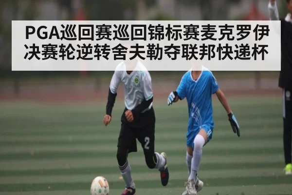 PGA巡回赛巡回锦标赛麦克罗伊决赛轮逆转舍夫勒夺联邦快递杯